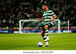 乒乓球技战术趋势观察 旋转与速度持续升级