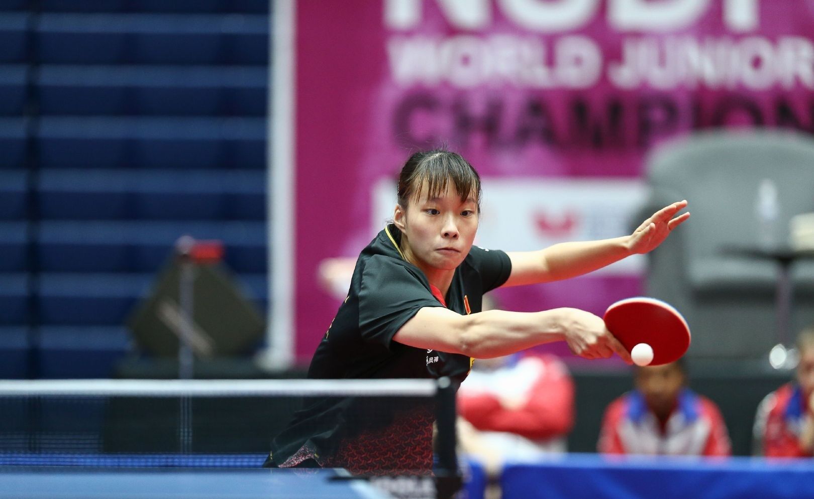 到来无疑让 到来无疑让